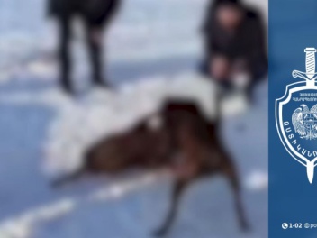 Հայտնաբերվել են շնամարտ կազմակերպած տղամարդիկ