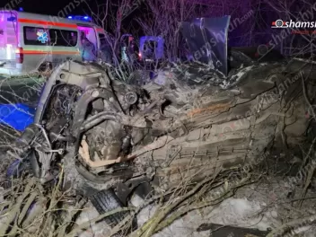 Կոտայքում Opel-ը կոտրել է մի քանի ծառեր և կող...