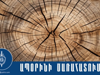 Թումանյանի համայնքային ոստիկանները բացահայտել...
