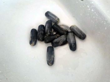 ՊԵԿ-ը խափանել է թմրամիջոցների ներմուծումն ու...