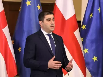 Վրաստանի խորհրդարանի խոսնակն արձագանքել է վիզ...