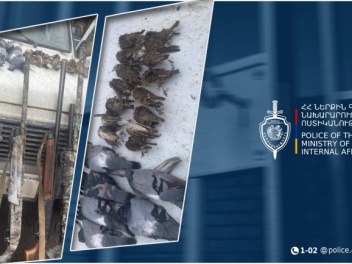 Արմավիրի մարզի պարեկները ապօրինի որսի դեպք են...