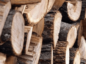 Անտառապետը ձերբակալվել և ներկայացվել է նախաքն...