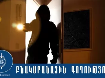 Կոտայքի քրեական ոստիկանները բացահայտել են բնա...