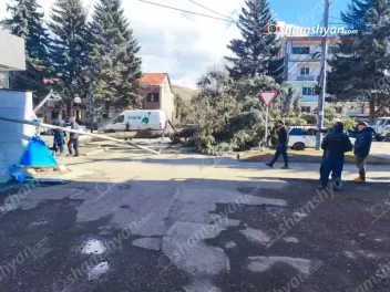 Վանաձորում հսկայական եղևնու տապալվելուց վնասվ...