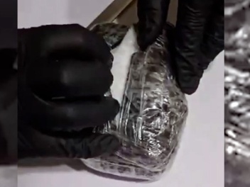 Իրանից ժամանած բեռնատարից մաքսային ծառայողներ...