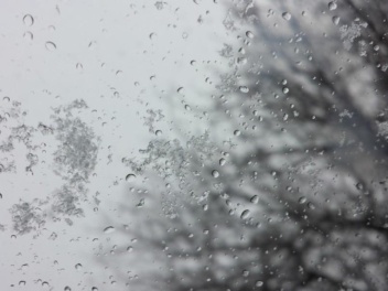 Սպասվում են տեղումներ