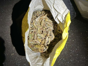 Ապօրինի որսված 43 կգ խեցգետինն առգրավվել և վե...