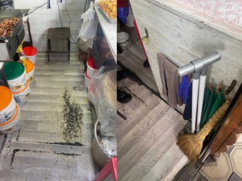 Երևանում կասեցվել է «ՊՐՈԳՐԵՍ 8888» հանրային ս...