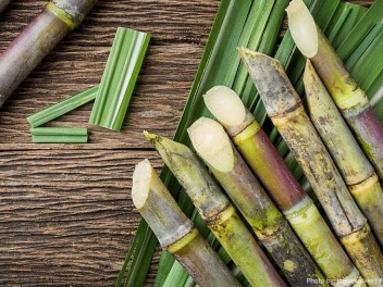 Հայաստանը հարկային արտոնություն է ստացել մինչ...