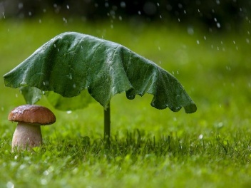 Ժամանակ առ ժամանակ սպասվում է անձրև