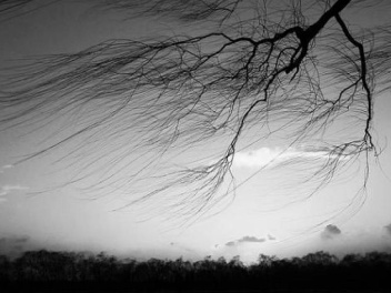 Կանխատեսվում են քամու ուժգնացում և ինտենսիվ տեղումներ