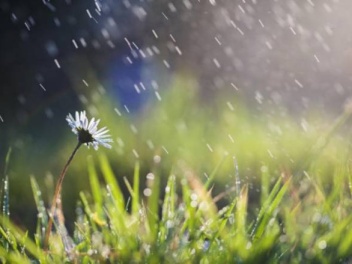 Երեկոյան ժամերին սպասվում է անձրև