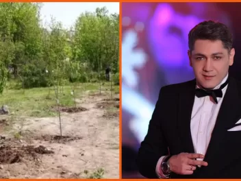 Նորատունկ ծառերն իդեալական վիճակում են, դրանք...