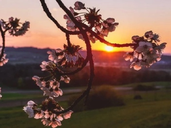 Սպասվում է առանց տեղումների եղանակ. օդի ջերմա...