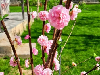 Օդի ջերմաստիճանը կբարձրանա