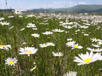 Օդի ջերմաստիճանը կբարձրանա