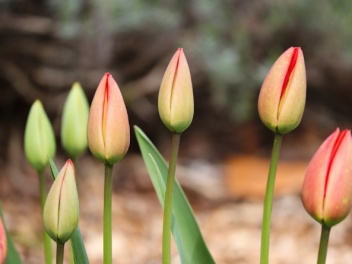 Օդի ջերմաստիճանն ապրիլի 15-17-ի ցերեկային ժամ...