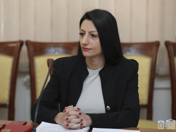 Անահիտ Մանասյանը հանդիպումներ է ունեցել գտնվե...