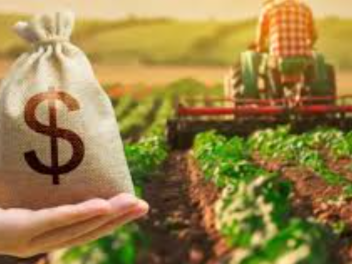 Գյուղացիներին մինչև 3 տարի ժամկետով անտոկոս վ...