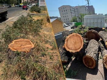 Քիչ առաջ Գյուրջյան փողոցում «Երևանի կանաչապատ...