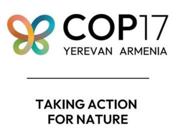 545,5 միլիոն դրամ է հատկացվել Երևանի կենտրոնո...