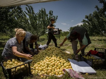 74.5% անկում. Հայկական գյուղմթերքի արտահանման...