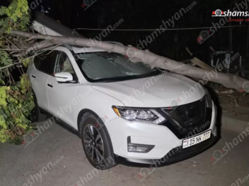 Ծառն ընկել է կայանված «Nissan Rouge»-ի վրա
