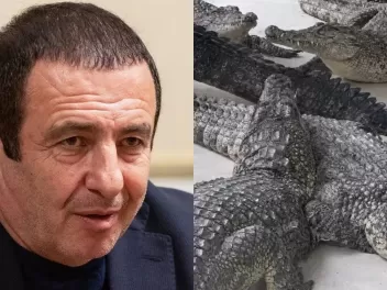 Կոկորդիլոսը ոչ ոքի չի վնասել. ՆԳՆ-ից հերքում...