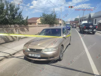 Գեղարքունիքում «Opel»-ը վրաերթի է ենթարկել 10...