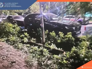 Ալեք Մանուկյան փողոցում ծառն ընկել է «Mazda»–...