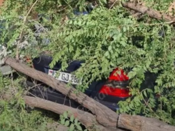 Երևանում ծառը կոտրվել ու ընկել է կայանված 3 ա...