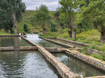 Լոռիում կասեցվել է ձկնաբուծարանի ապօրինի ջրառ...
