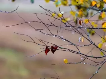 Օդի ջերմաստիճանը կնվազի 3-5 աստիճանով