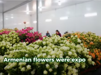 Հայաստանից 908,6 տոննա ծաղիկ է արտահանվել 30...