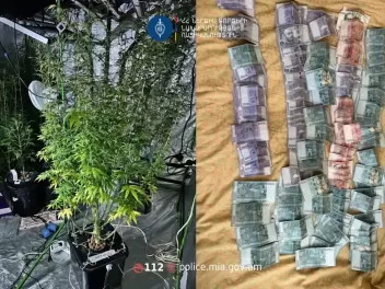 Երևանում կանեփի աճեցման համար կահավորված ննջա...