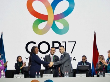 Համբարձում Մաթևոսյանն ընտրվել է COP17-ի նախագ...
