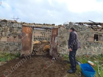 Ջրամբար գյուղում գայլերի ոհմակը մեծ թվով գառներ է հոշոտել