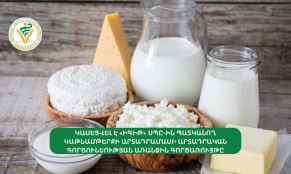 «Իգիթ» ՍՊԸ-ի կաթնամթերքի արտադրամասի արտադրական գործունեության առանձին գործառույթը կասեցվել է