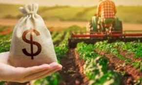 Գյուղացիներին մինչև 3 տարի ժամկետով անտոկոս վարկեր կտրամադրվեն