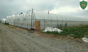 ԲԸՏՄ-ն կասեցրել է ջերմոցների ապօրինի ջրառն ու կաթսայատան շահագործումը