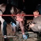Կրակոց Ոսկետափում. հրազենային վնասվածքով հիվանդանոց է տեղափոխվել 32-ամյա քաղաքացին.  Shamshyan.com