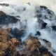 Չինարի գյուղում մոտ 200 հակ անասնակեր է այրվել