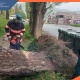 Քամու հետևանքով գրանցվել է 57 արտակարգ դեպք