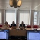 ՀՀ ՊԵԿ պատվիրակությունը Բրյուսելում մասնակցել է մաքսային հարցերով ենթակոմիտեի հինգերորդ նիստին