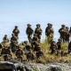 В Эстонии стартуют крупнейшие международные военные учения Siil 2025