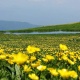 Սպասվում է առանց տեղումների եղանակ, օդի ջերմաստիճանը կբարձրանա