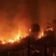 На Кипре из-за природных пожаров погибли два человека
