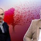 Տեսանյութ. «Փաշինյանին ոչ ոք չի սատարում, նա մնացել է մենակ. նա սեփական կյանքի կռիվ ա տալիս». Մադաթյան