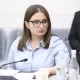 Անգամ դատավորն է ընդունել, որ Անդրանիկ Չամիչյանի մոտ հայտնաբերել են բացառապես օրինական իրեր. Քրիստինե Վարդանյան